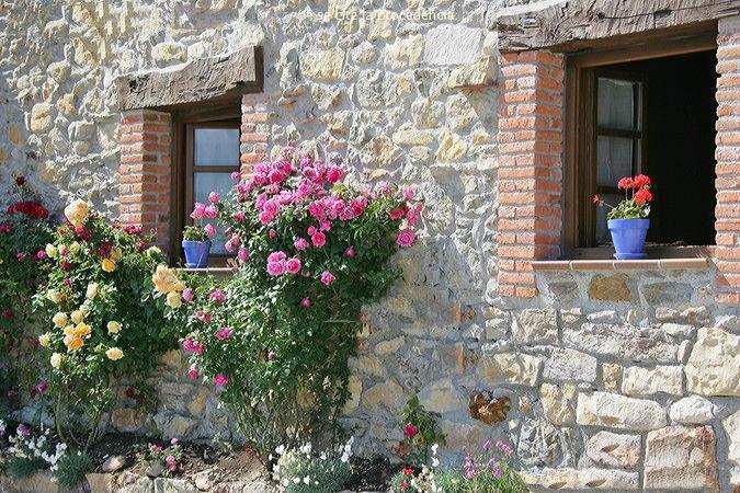 La Xica Ll Guest House Beceña Екстериор снимка